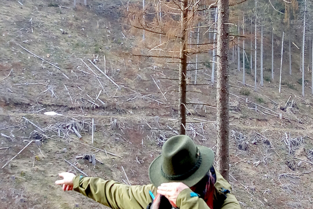 Rundbrief  März 2021