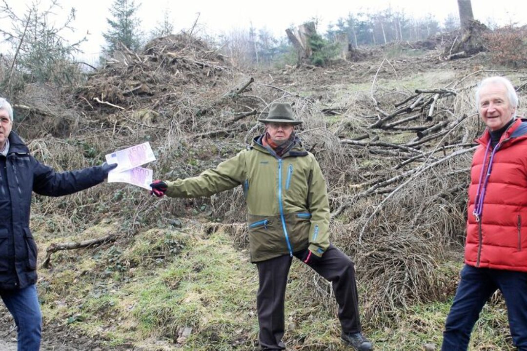 Bürgerstiftung – Goslarsche Zeitung