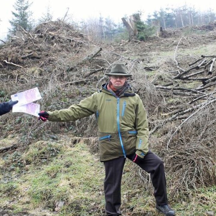 Bürgerstiftung – Goslarsche Zeitung