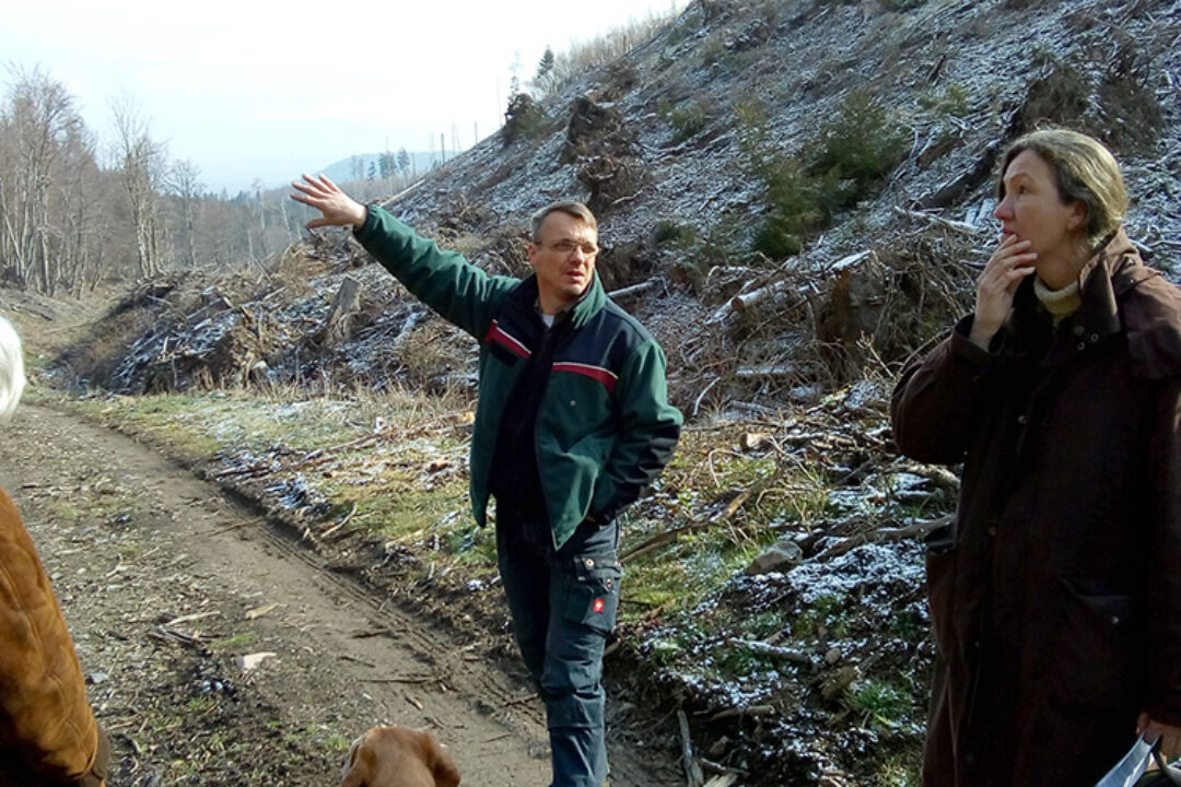 Bericht über das Jugendprojekt
