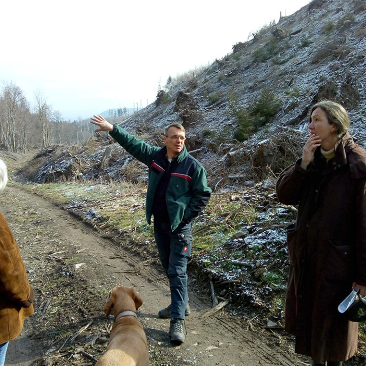 Bericht über das Jugendprojekt