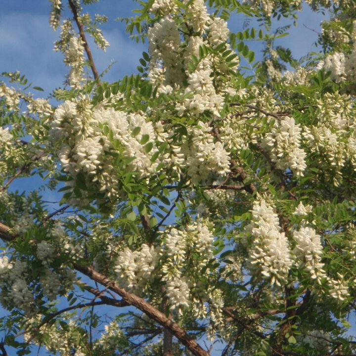 Rundbrief April 2021