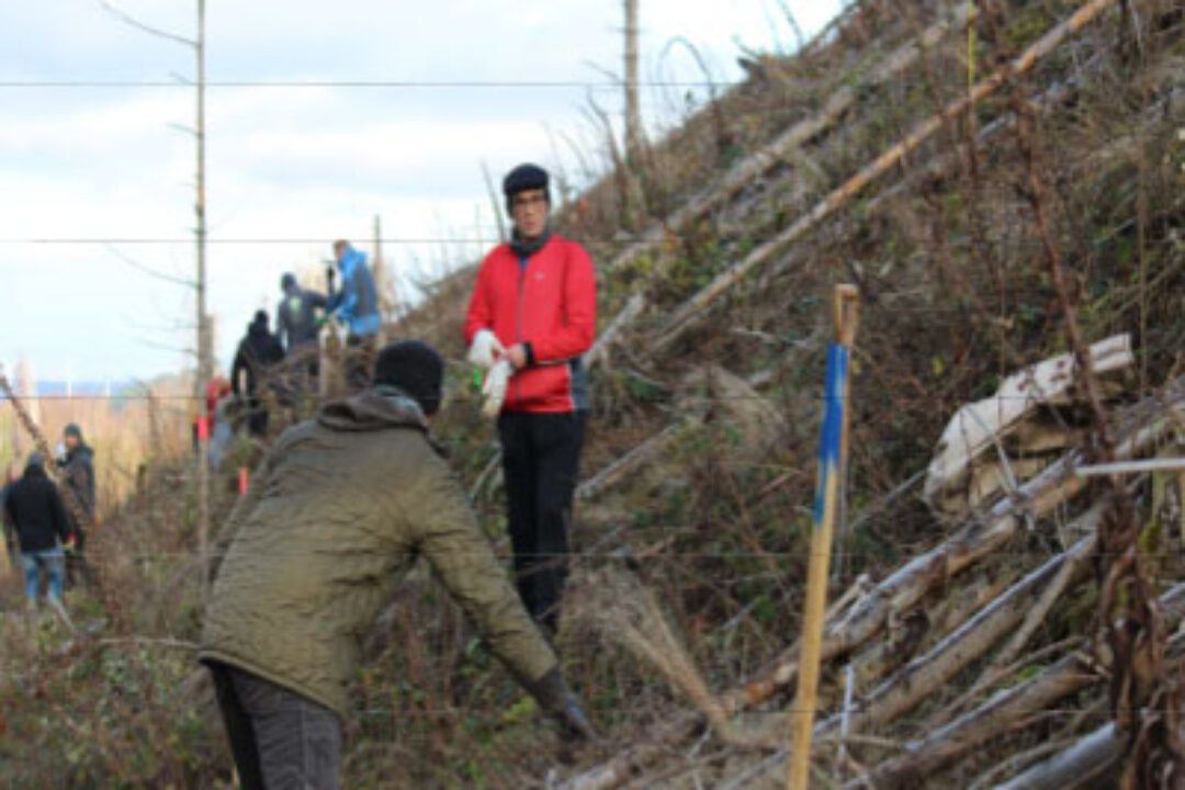 Harzer Panorama Artikel Jan 2022