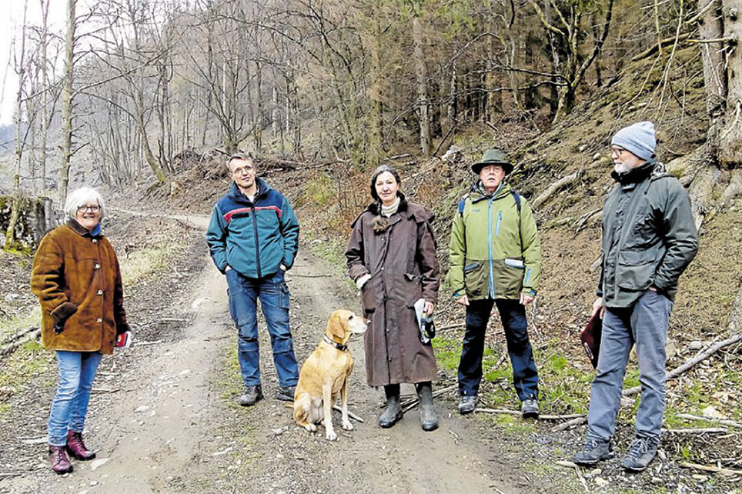 Harzer Panorama Artikel Mai 2021