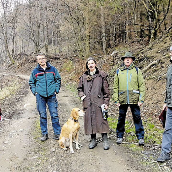 Harzer Panorama Artikel Mai 2021