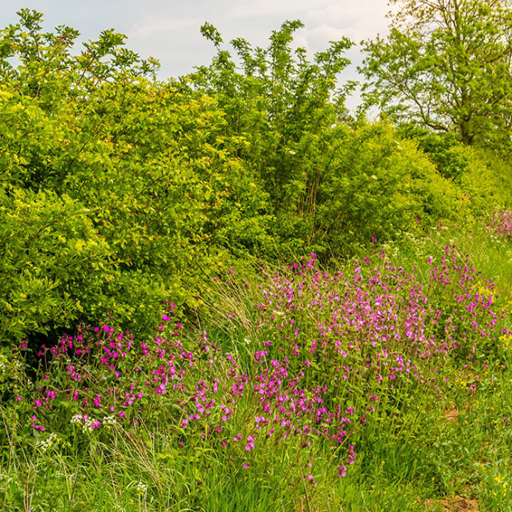 Rundbrief August 2022