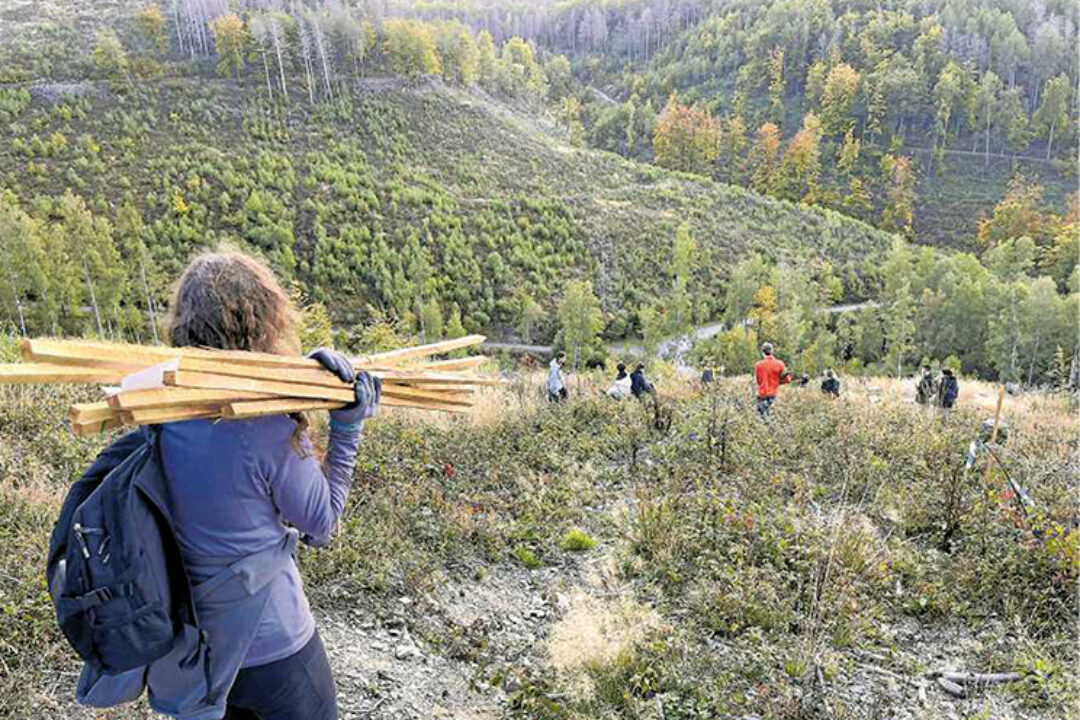 Rundbrief November 22