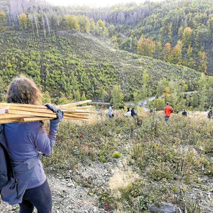 Rundbrief November 22