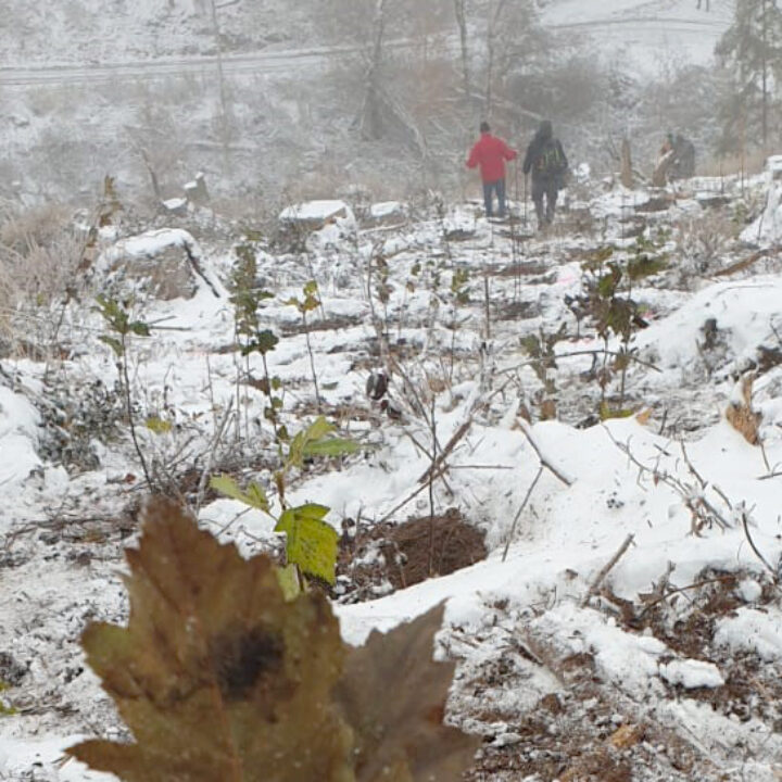 Rundbrief Dezember 2022