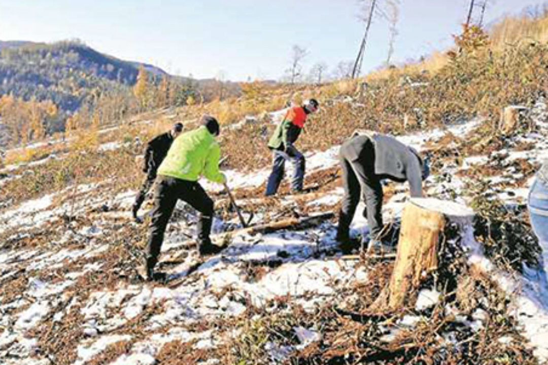 Harzer Panorama 25. Dezember 2022