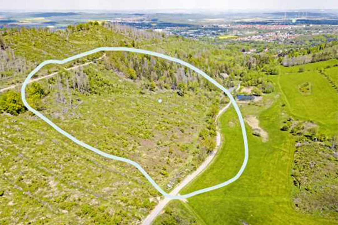 Harzer Panorama 15.Oktober 2023