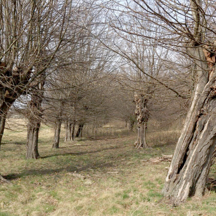 Rundbrief Januar 2024