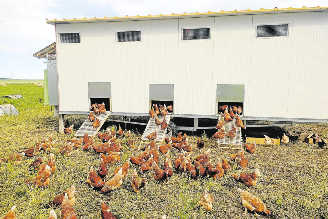 Harzer Panorama 13.Oktober 2024