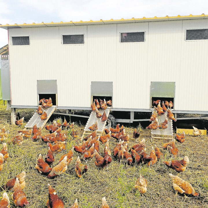 Harzer Panorama 13.Oktober 2024