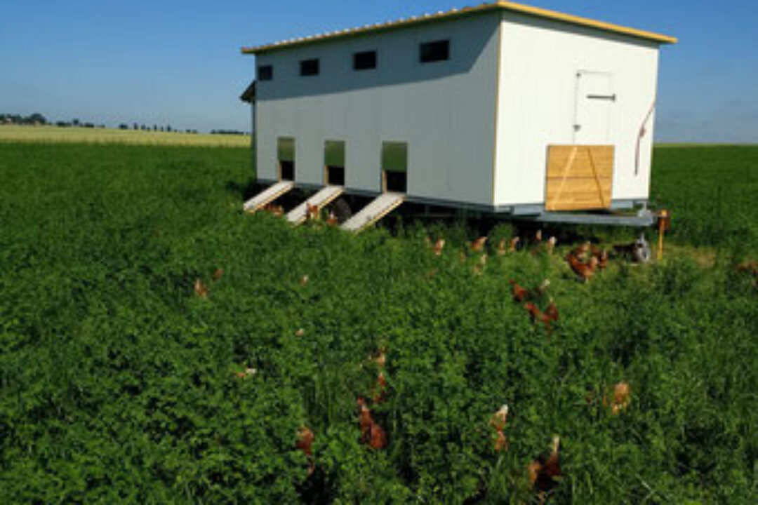 Rundbrief Oktober 2024