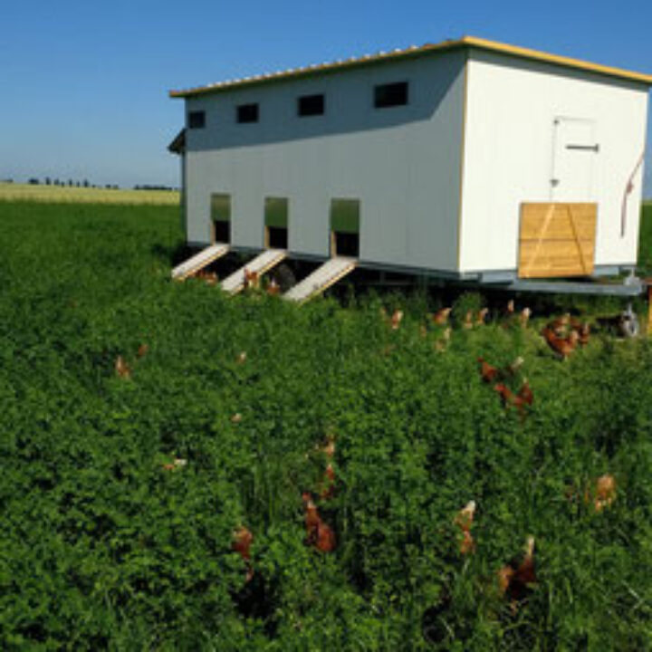 Rundbrief Oktober 2024