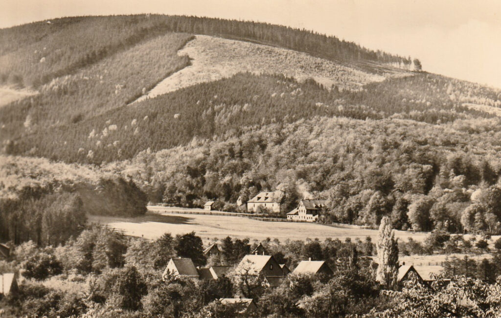 Hier ist der Berg, auf dem wir pflanzen.